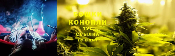 ПСИЛОЦИБИНОВЫЕ ГРИБЫ Алзамай