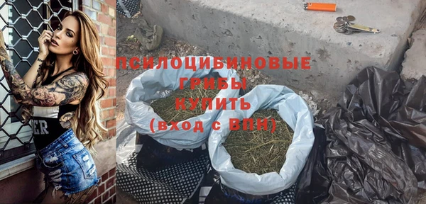 ПСИЛОЦИБИНОВЫЕ ГРИБЫ Алзамай