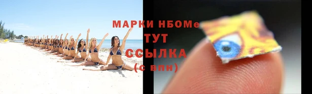 ПСИЛОЦИБИНОВЫЕ ГРИБЫ Алзамай