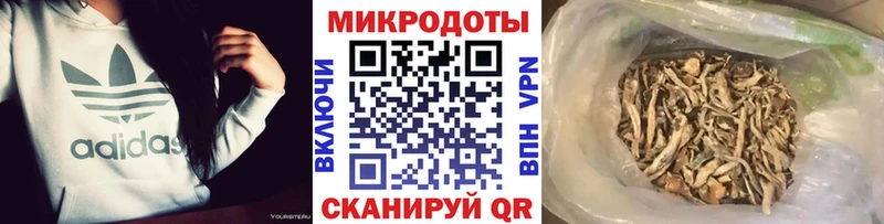 blacksprut как зайти  это как зайти  Галлюциногенные грибы Psilocybe  Апатиты 